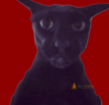 evil-larry-larry (1).png