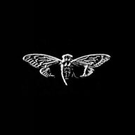 Cicada3301