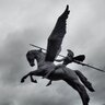 Fableweaver