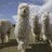 AlpacaExportations