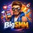 bigsmm;